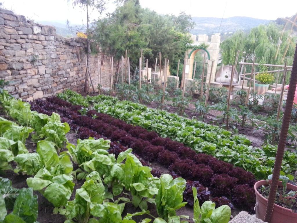 Las Bodegas De Claveria El Humo de Muro エクステリア 写真